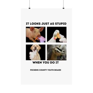 "It Looks Just as Stupid" Matte Poster